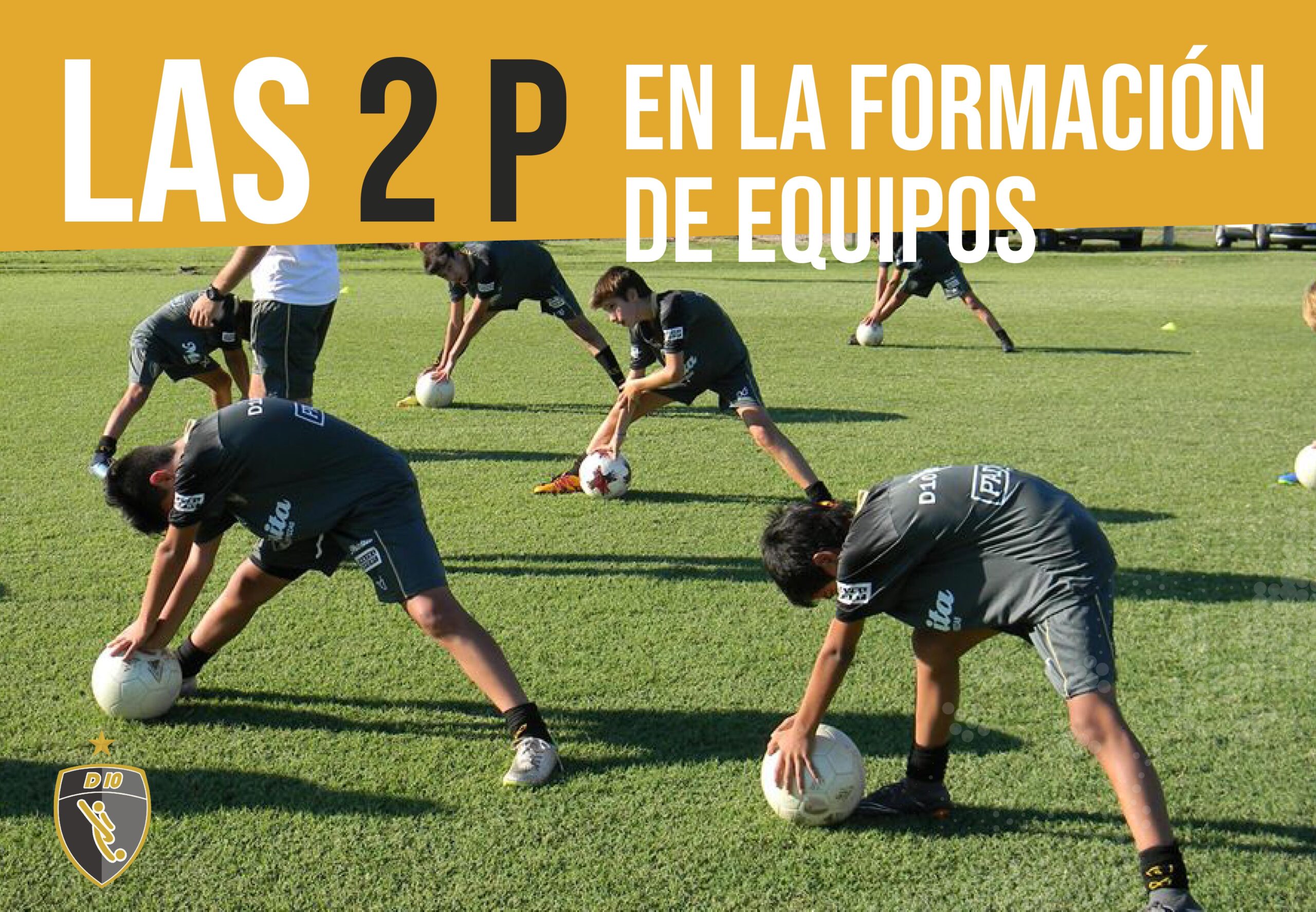 Las 2 P en la formación de equipos